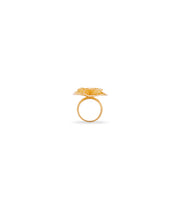 Ring 1