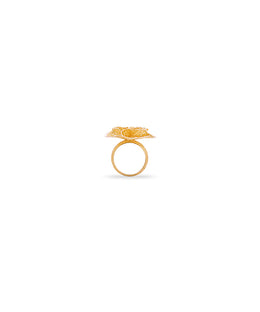 Ring 1