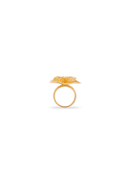 HC Ring Two