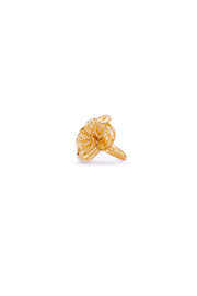 HC Ring Four