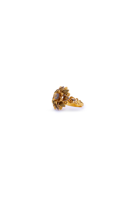 HC Ring Eighteen