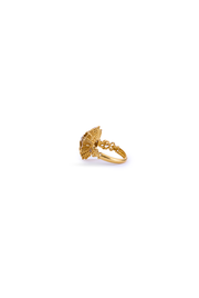 HC Ring Ninteen