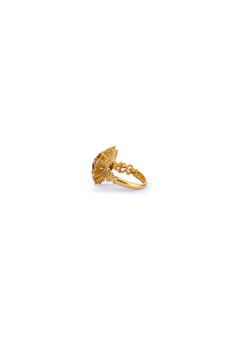 HC Ring Ninteen